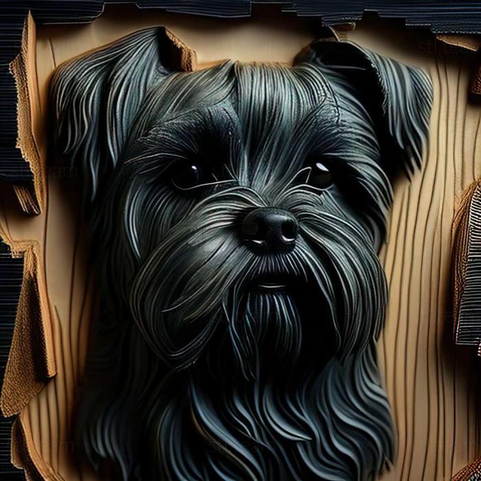 Affenpinscher dog